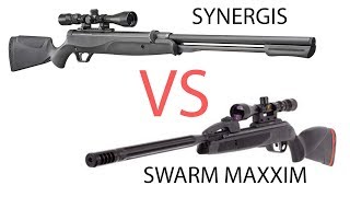 Umarex Synergis VS Gamo Swarm Maxim  177 Cal Shootout [upl. by Lundt]