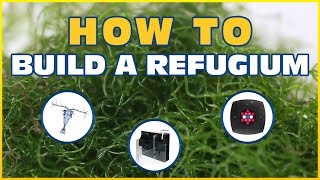 How to Set Up a Refugium Harvesting Macroalgae To Control Nitrate and Phosphate [upl. by Morehouse940]