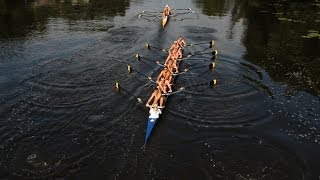 Rowing Its Good For Your Brain [upl. by Ellekram]