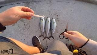 Land based fishing Geelong Victoria Australia [upl. by Nathan59]