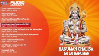 Hanuman Chalisa By Hari Om Sharan  Hindi Devotional Songs  Hanuman Bhajans Jukebox [upl. by Ydnagrub]