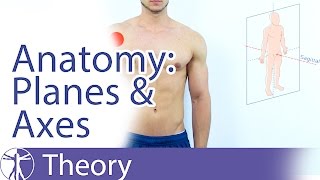 Anatomical Planes amp Axes Explained [upl. by Rehtse661]