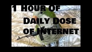 1 Hour of Daily Dose of Internet [upl. by Onaicul]