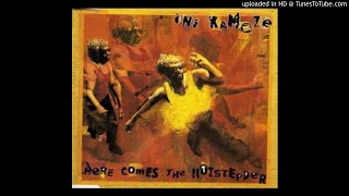 Ini Kamoze  Here Comes The Hotstepper Heartical Mix [upl. by Shelly]