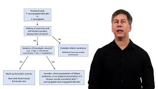 An Approach to Jaundice [upl. by Yt]