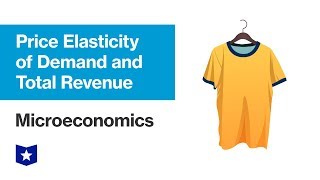 Price Elasticity of Demand and Total Revenue  Microeconomics [upl. by Annaj]