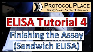 ELISA Tutorial 4 Finishing the Assay Sandwich ELISA [upl. by Ursuline]