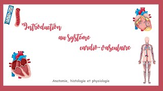 Introduction au système cardiovasculaire [upl. by Nnaycnan]