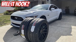 Nitto NT555RII Review on Whipple Supercharged Mustang GT [upl. by Asital680]