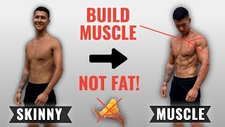 How To Bulk Up Fast WITHOUT Getting Fat 4 Bulking Mistakes SLOWING Your Gains [upl. by Pangaro706]