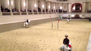 Spanische Reitschule Wien Video 1 [upl. by Aibat]