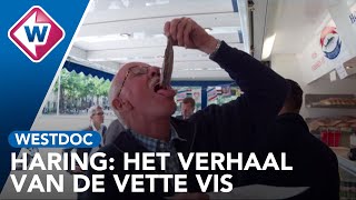 Haring Het verhaal van de vette vis  WESTDOC OMROEP WEST [upl. by Yelhak]