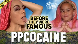 PPCocaine  Before They Were Famous  TikTok Rapper Biography [upl. by Isayg621]