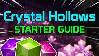 Crystal Hollows Starter Guide The Important Stuff  Hypixel Skyblock [upl. by Prady]