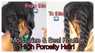 How to Moisturize amp Seal High Porosity Natural Hair  Simply Subrena [upl. by Teevens]