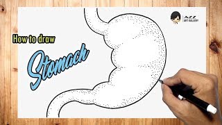 How to draw a Stomach [upl. by Amlas]