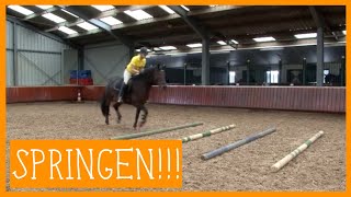 Basis springen  PaardenpraatTV [upl. by Buffo]